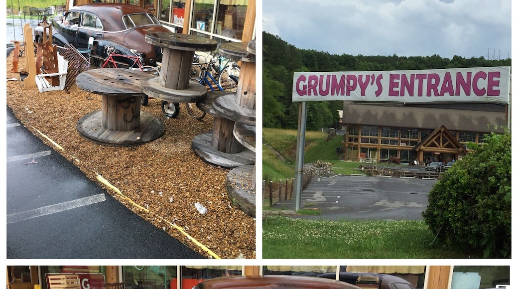 Love antiques? Thrifting? Old cars? Grumpy’s has 3 floors full of stuff to meet anyone’s interests. Just off of 75 in Tunnel Hill GA. Billboard is on the highway.
724 North Varnell Rd Tunnel Hill GA USA
