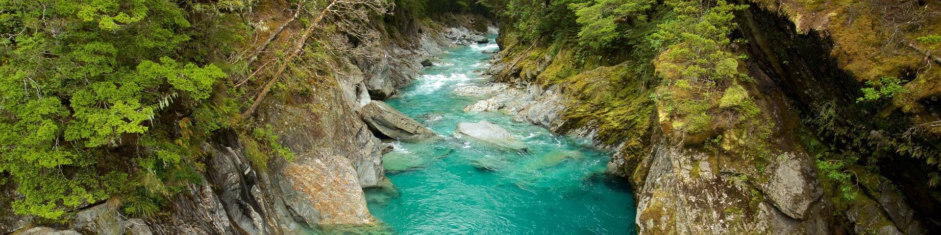 Mount Aspiring National Park showing a gorge or canyon and a river or creek