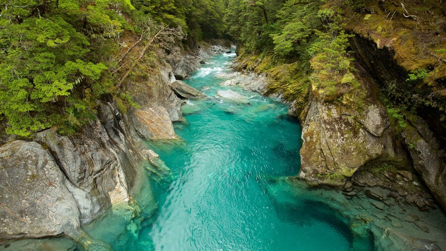 Mount Aspiring National Park