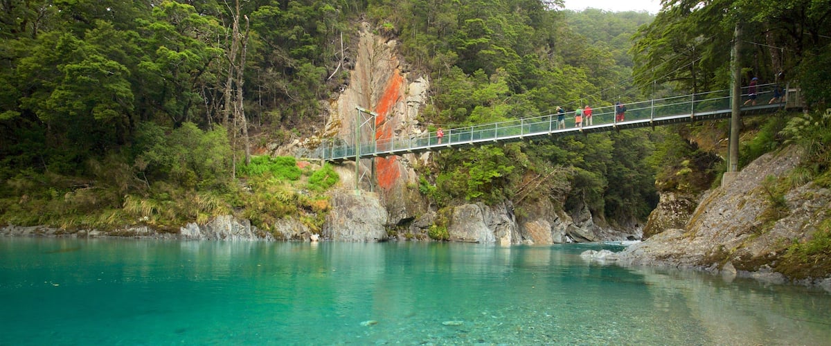 Wanaka showing a bridge, a river or creek and forest scenes