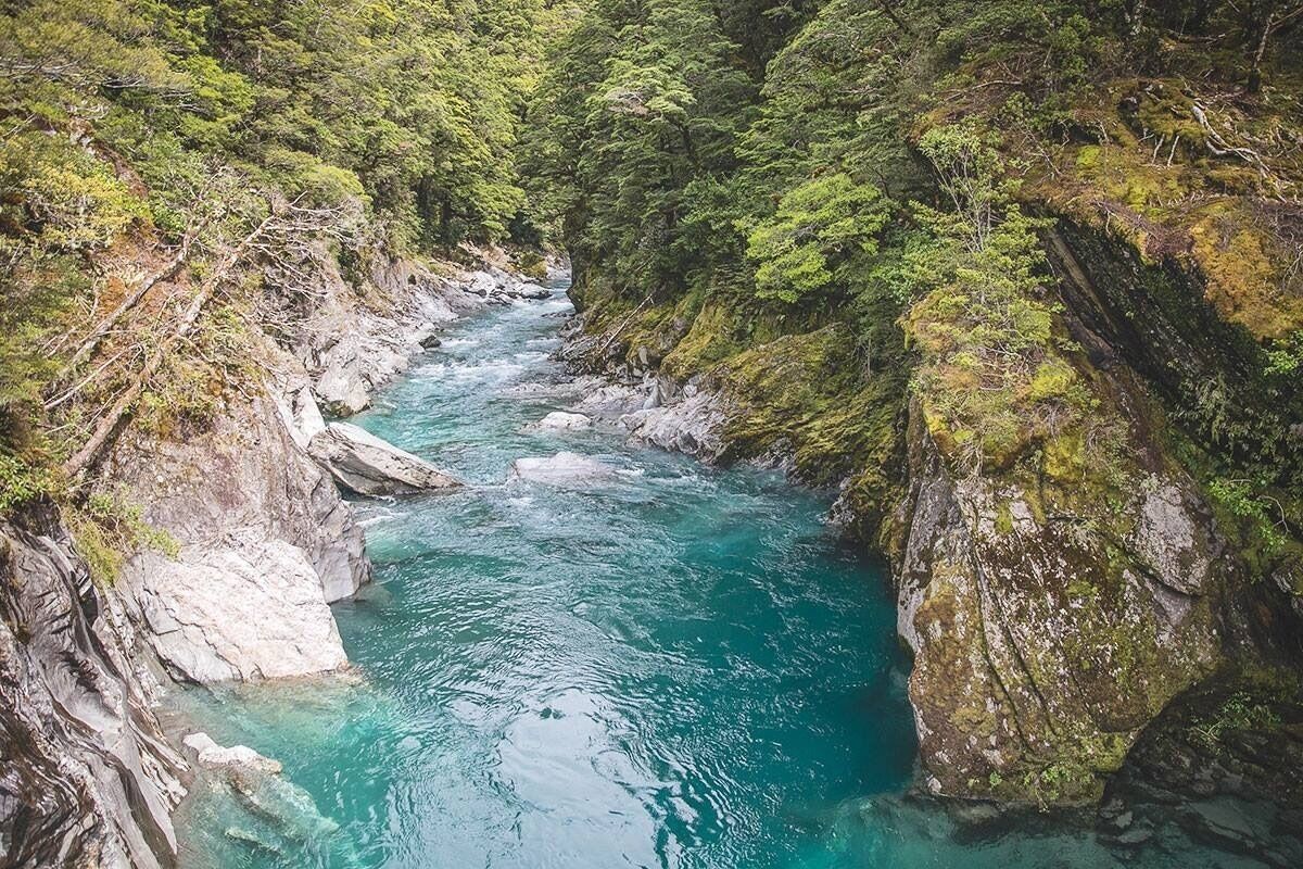 The blue pools at Haast! A gorgeous walk down through moss covered trees, over some suspension bridges and you get these gorgeous views! Tip - look out for the sandflies! 