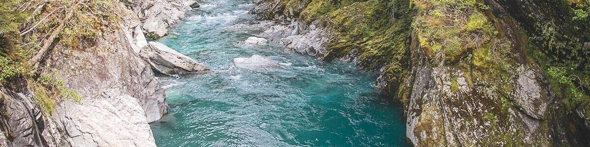 The blue pools at Haast! A gorgeous walk down through moss covered trees, over some suspension bridges and you get these gorgeous views! Tip - look out for the sandflies!