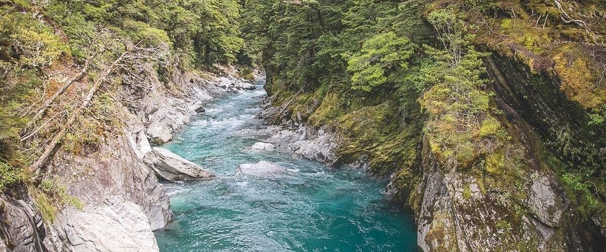 The blue pools at Haast! A gorgeous walk down through moss covered trees, over some suspension bridges and you get these gorgeous views! Tip - look out for the sandflies!