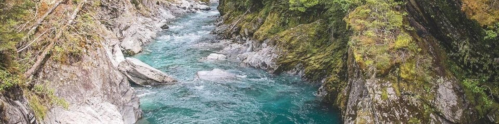 The blue pools at Haast! A gorgeous walk down through moss covered trees, over some suspension bridges and you get these gorgeous views! Tip - look out for the sandflies!
