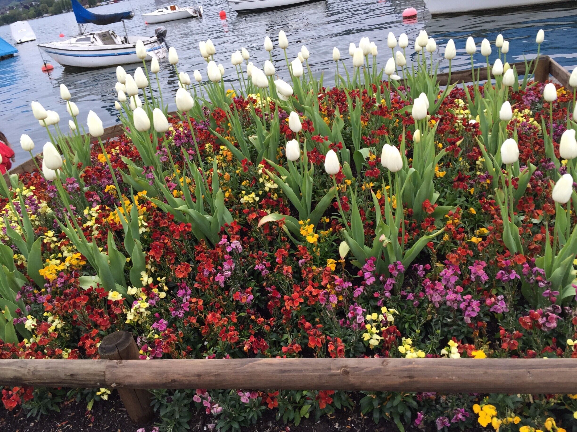 Zurich Lake #lifeatexpedia 