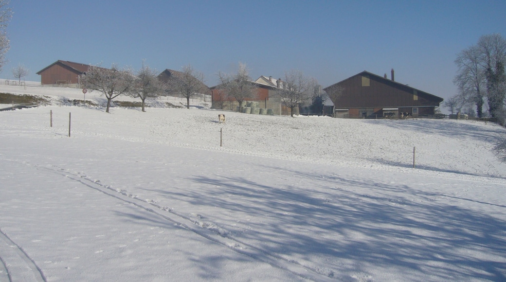 Bauernhöfe am Dorfausgange von Wetzikon im Thurgau.