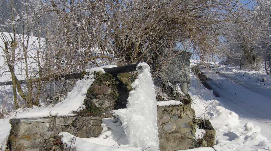 Gefrorner Brunnen am Spiegelberg im Kanton Thurgau.