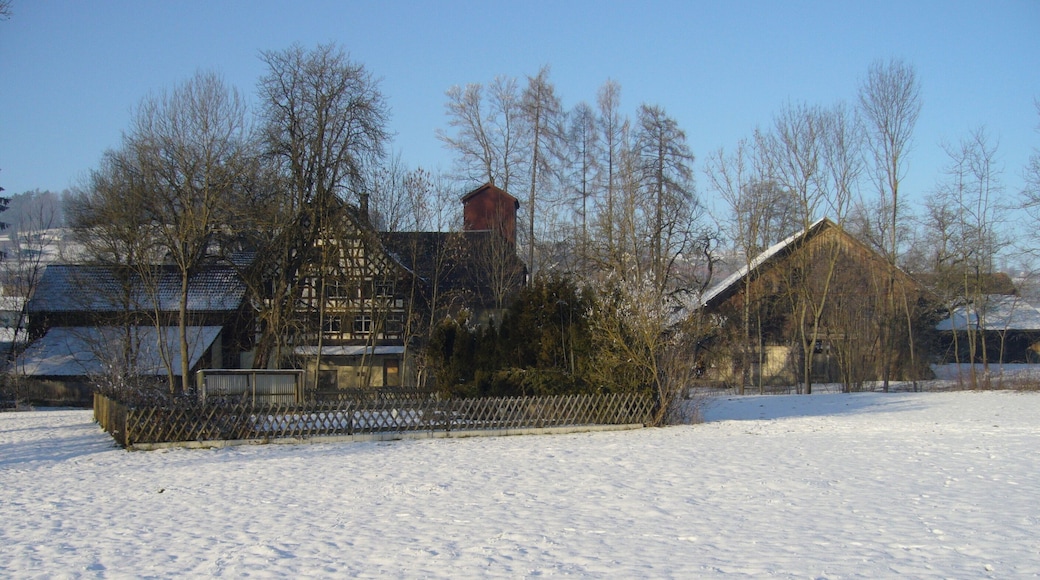 Die Dietlismüli von Süden gesehen.