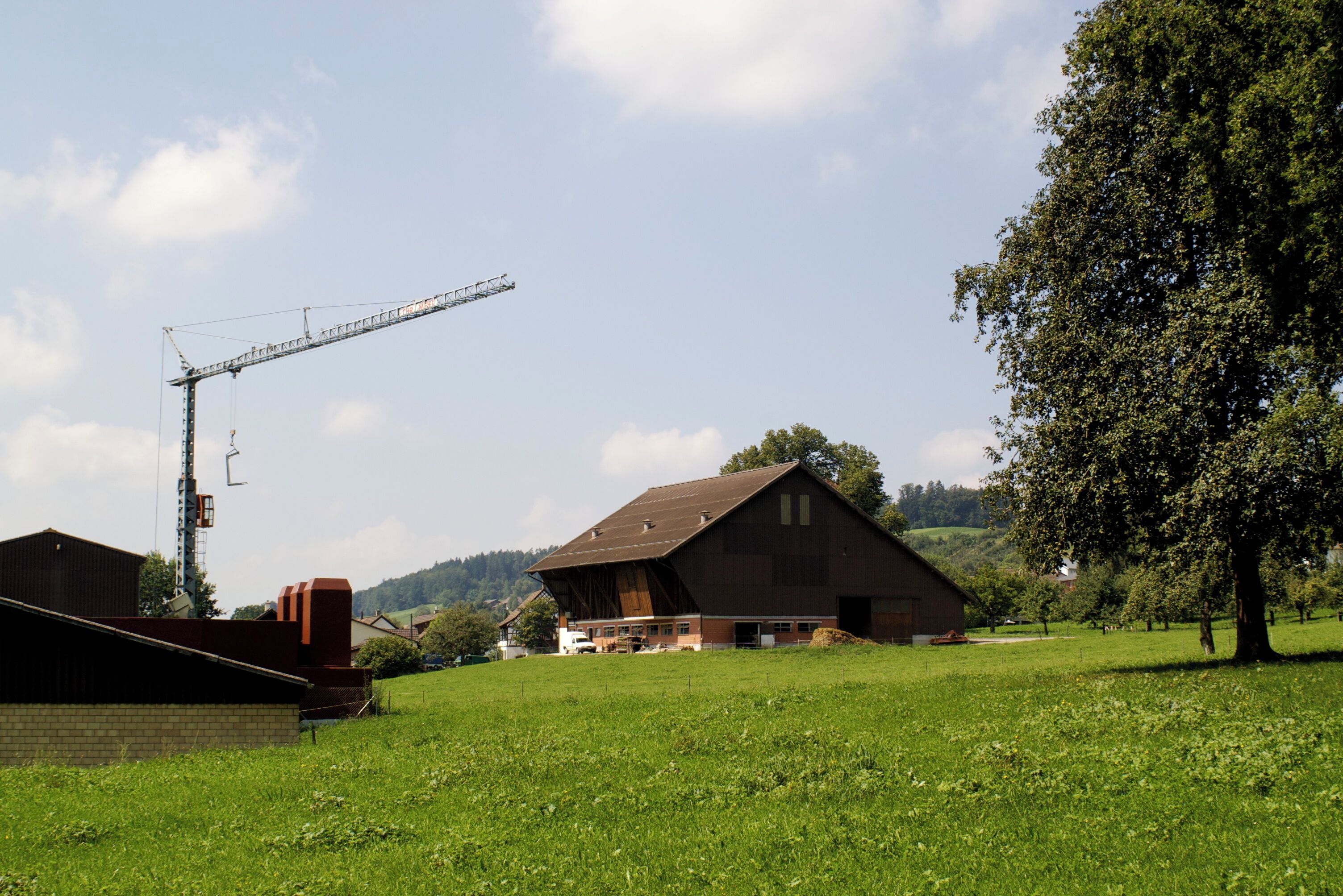A rural landscape with a large barn, a construction crane, and a tree.