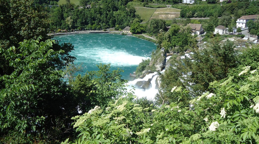 rhine falls