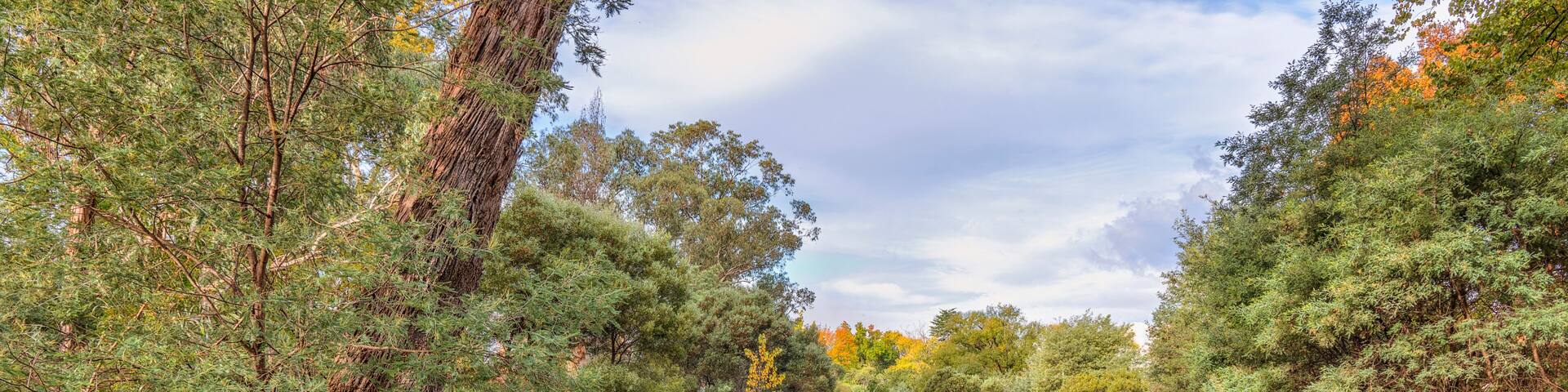 The Ovens River meanders through the township of Bright in Victoria, Australia