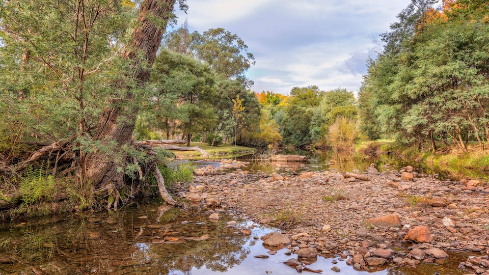 A river with rocks and trees.