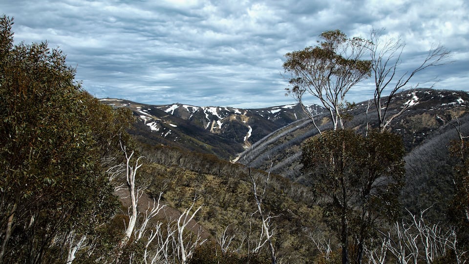 A mountainous landscape with snow patches, dense forest, and a clear sky.