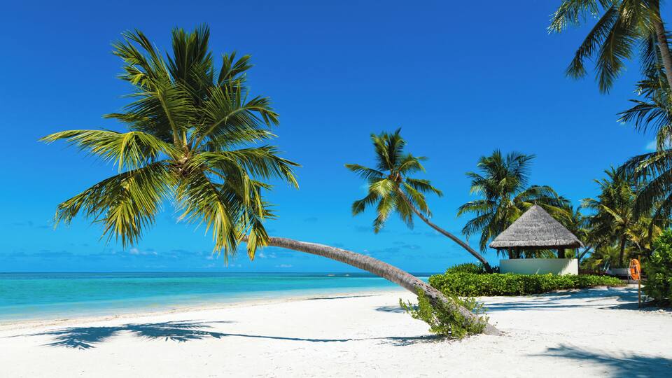 A beach with white sand, palm trees, and a thatched-roof hut.