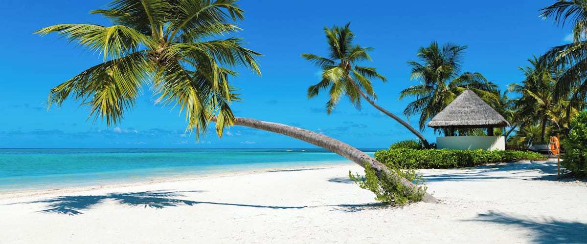 A beach with white sand, palm trees, and a thatched-roof hut.