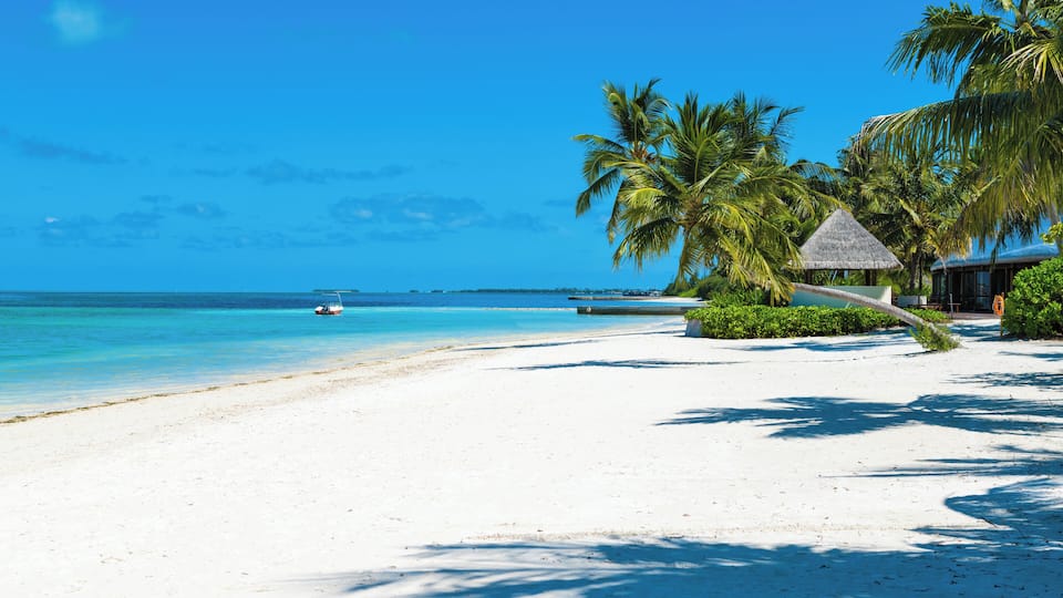 A white sandy beach with clear turquoise water, palm trees, and a thatched-roof hut.