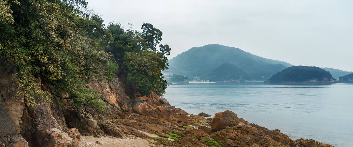 A rocky shoreline with clear water, green vegetation, and distant mountains.