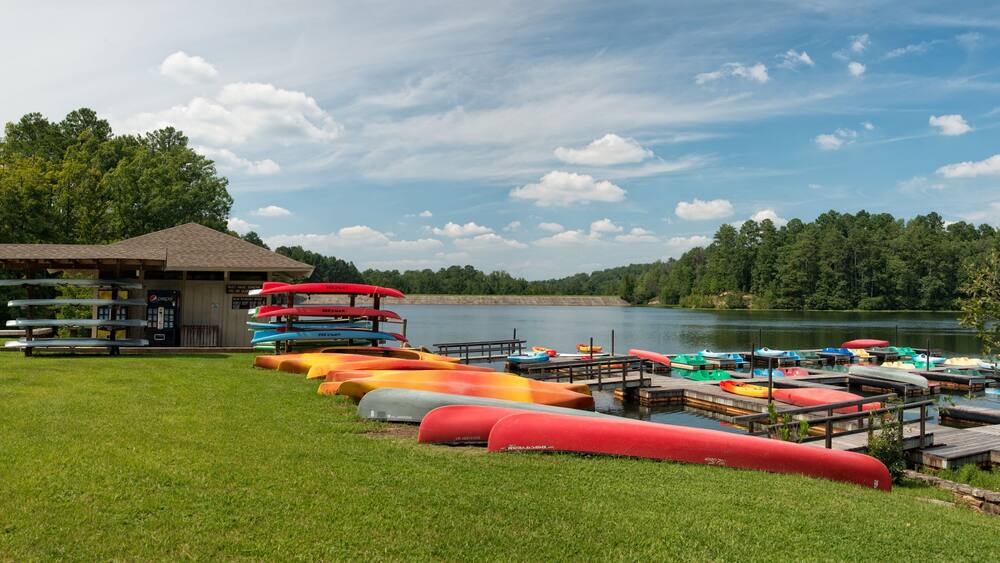A lakeside with a gazebo, paddle boats, and a dock.