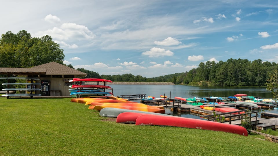 A lakeside with a gazebo, paddle boats, and a dock.