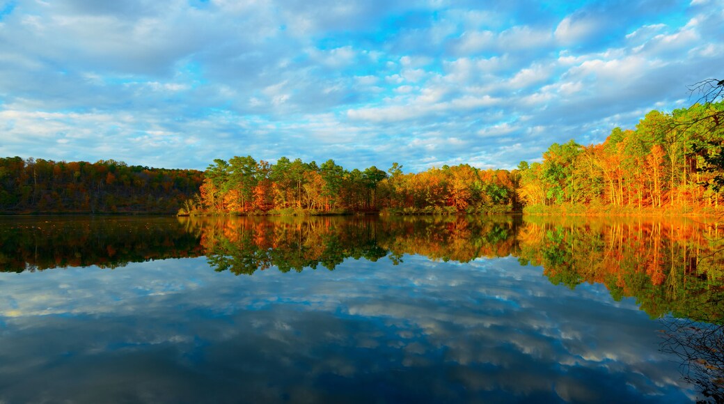 Amazing scenery of autumn forest reflected in the lake