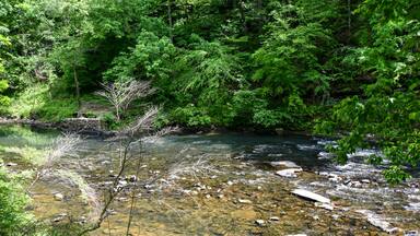 A Walk by the Cahaba River in Birmingham, Alabama