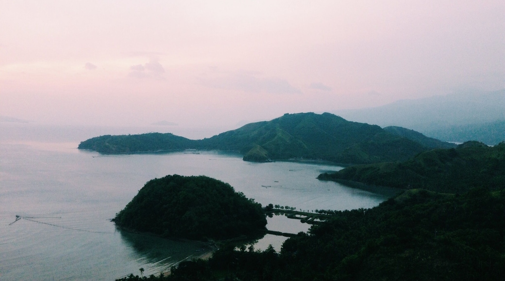 The Sleeping Dinosaur Island 💙