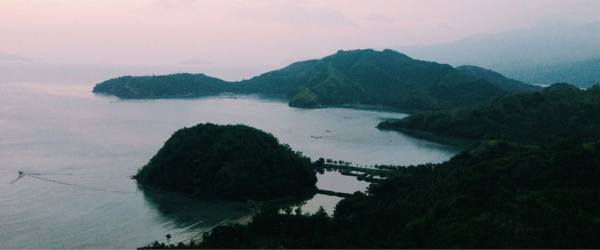 The Sleeping Dinosaur Island 💙