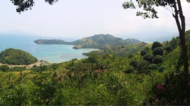 The sleeping dinosaur at Badas, Mati , Davao Oriental, Philippines