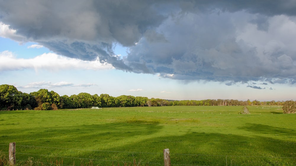 A green field with a fence, trees, and a cloudy sky.