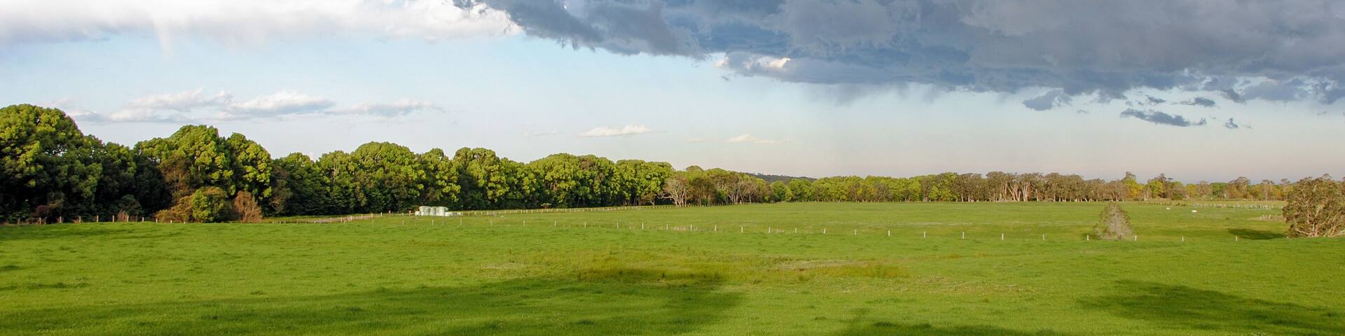 green farm field before thunderstorm
Repton. New South Wales, Australia