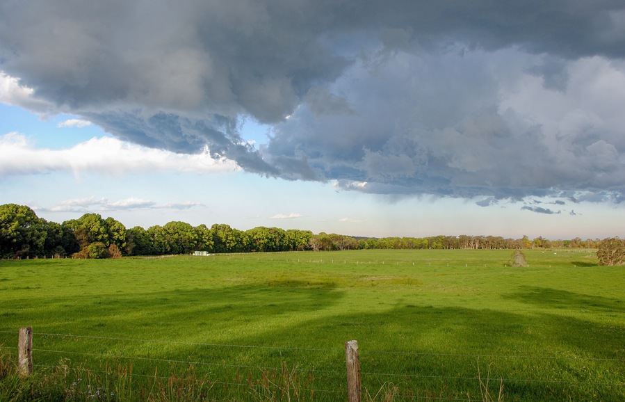 green farm field before thunderstorm
Repton. New South Wales, Australia
