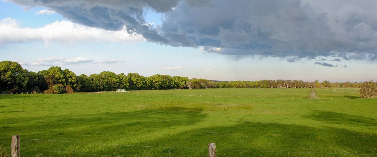 A green field with a fence, trees, and a cloudy sky.