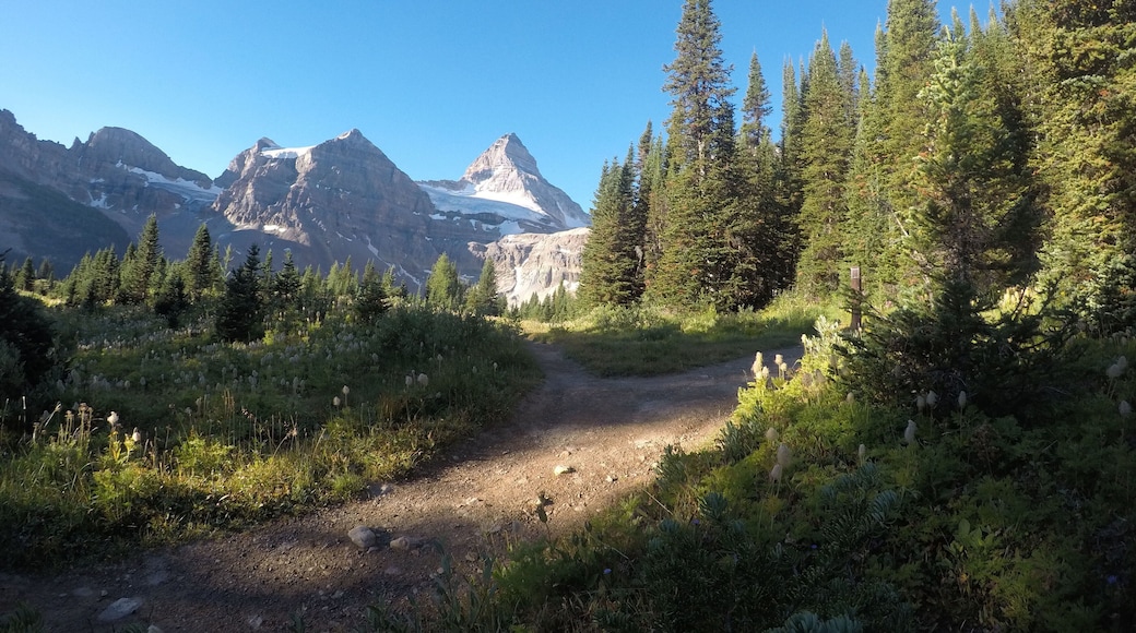 Accessible only by helicopter or hiking 27km into the backcountry, Assinniboine has breathtaking views and some of the best hiking in the Canadian Rockies!