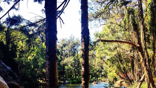 The waterhole at our camping spot on the weekend. #weekendgetaway #australia #camp