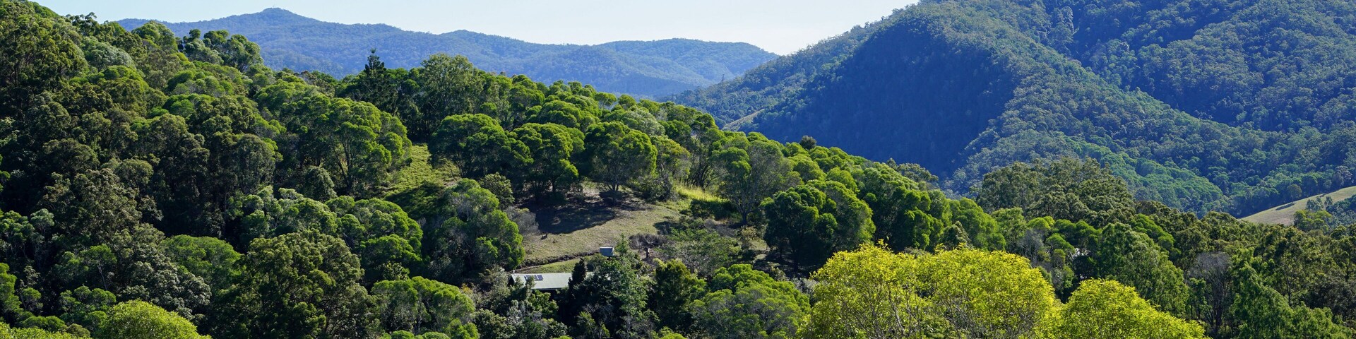 Mountain landscape with trees at Imbil Queensland