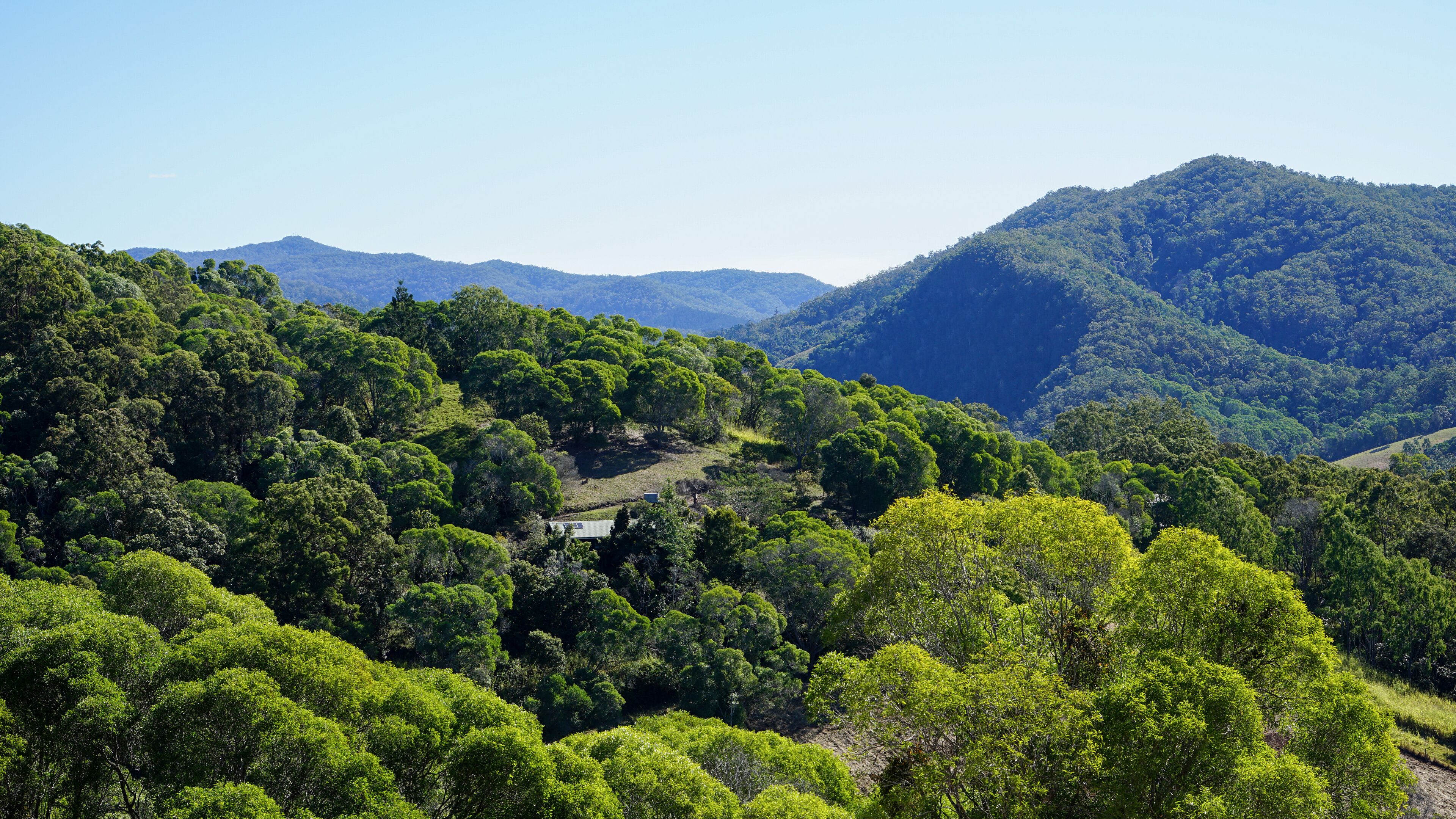 A lush green landscape with dense forests and rolling hills.