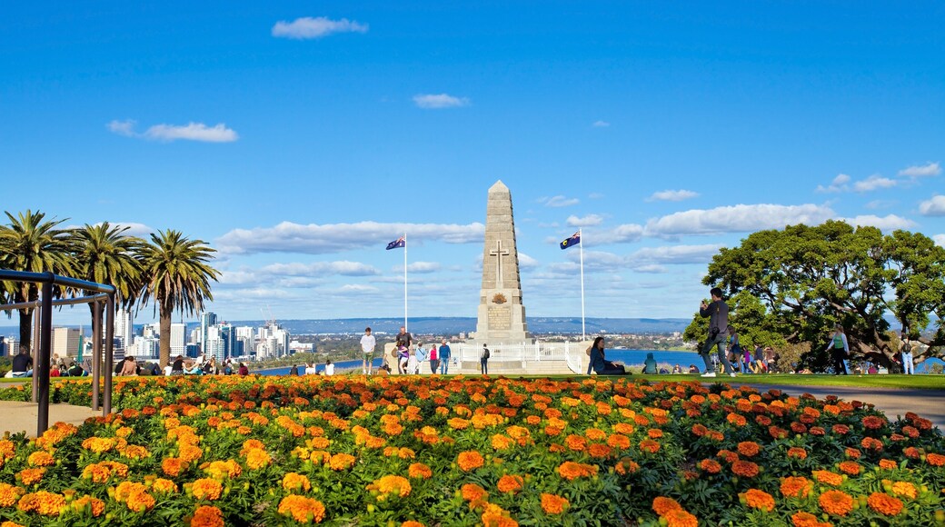Kings Park, Perth, australia occidentale