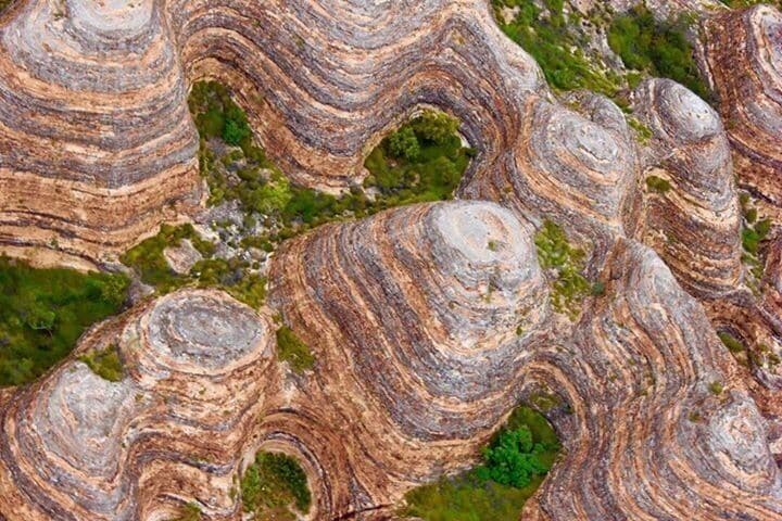 Bee hives in the bungle bungles 