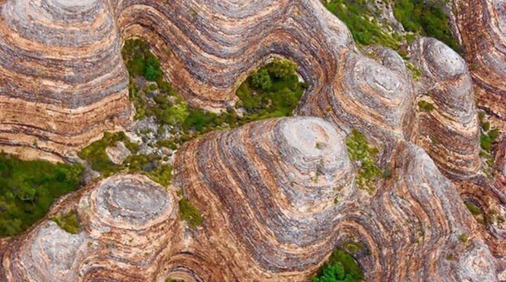 Bee hives in the bungle bungles