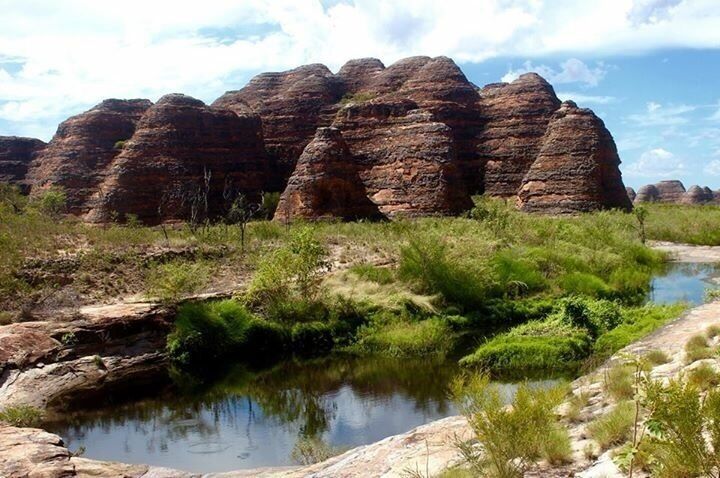 Piccadilly walk at the bungles 