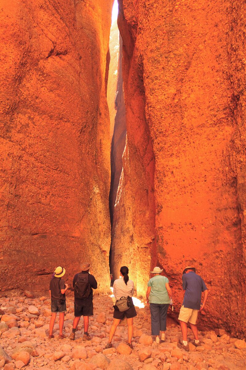 One of the features of the Bungle Bugles in the Purnululu National Park.
You walk for a few hundred metres into a chasm that gets narrower and narrower.
At around noon, the sund is shining into the very narrow chasm. It's a magical place and if you can be there for the moment when the sund touches the ground it's phantastc experience.