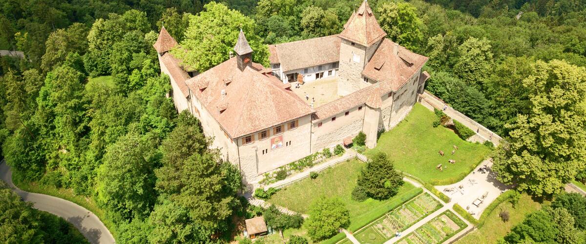An aerial view of a castle surrounded by dense forest and a formal garden.