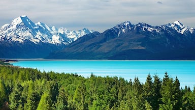 In the mountains of New Zealand, it's just breath-taking!