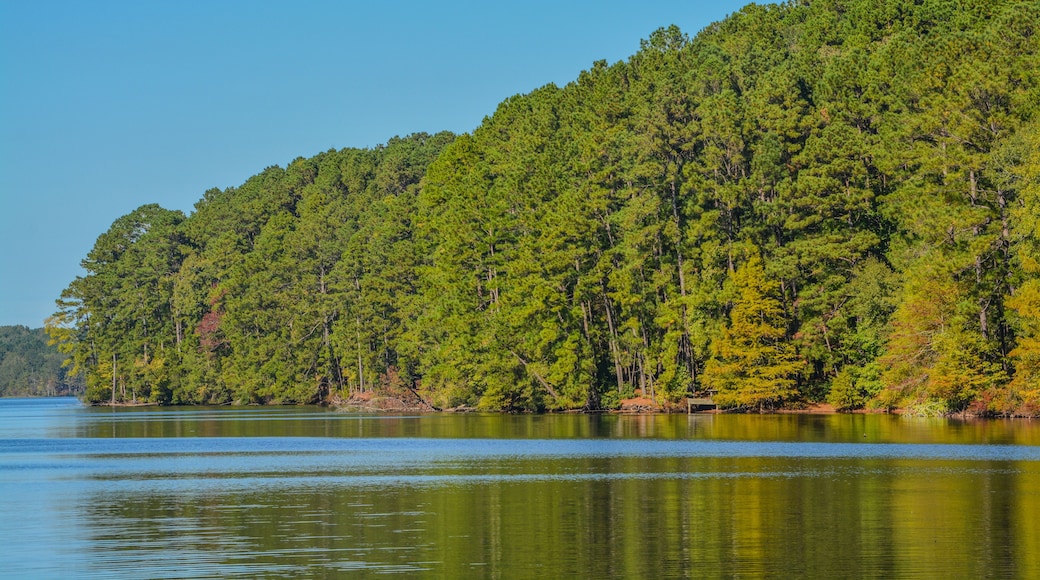 Beautiful view of Lake Claiborne State Park, in Homer, Claiborne Parish, Louisiana