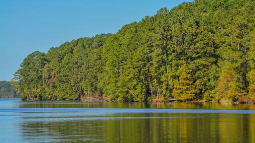 Beautiful view of Lake Claiborne State Park, in Homer, Claiborne Parish, Louisiana