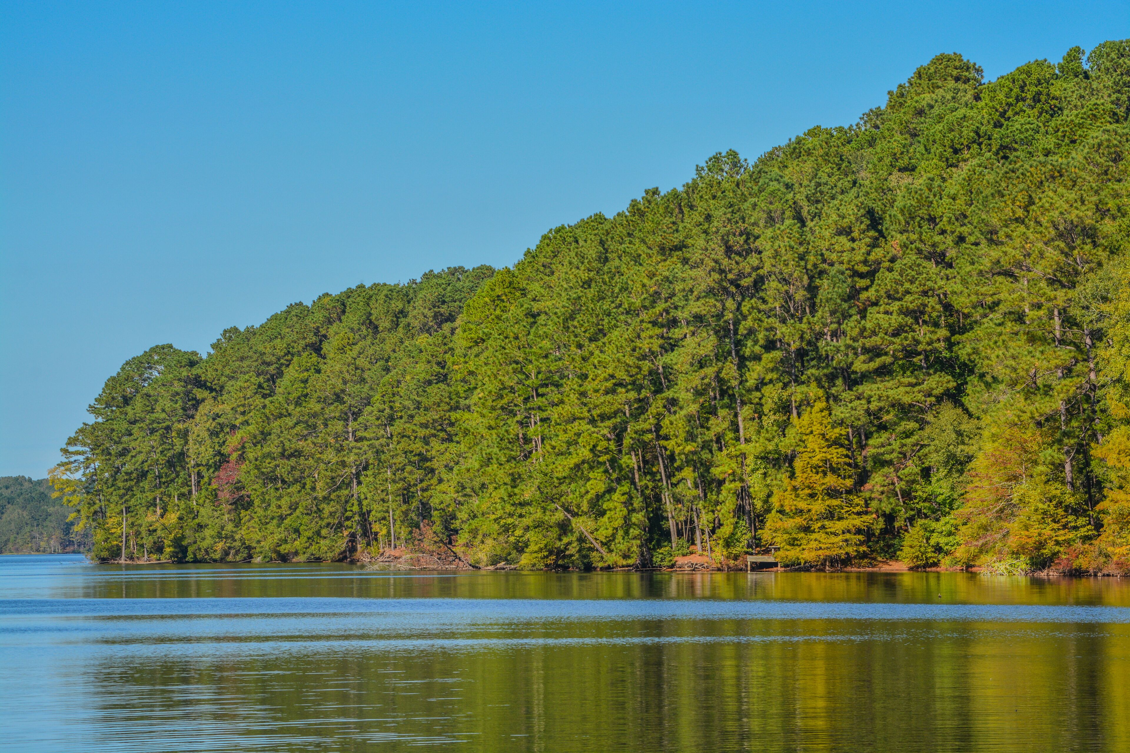 A calm lake with a dense forested hill in the background.