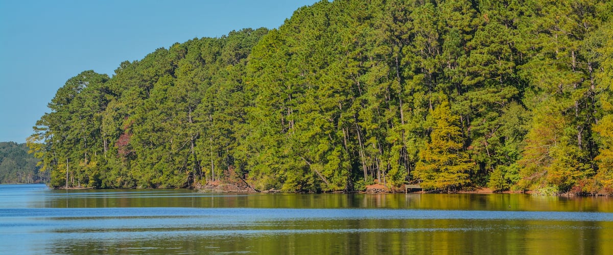 A calm lake with a dense forested hill in the background.
