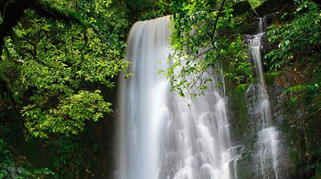 Matai Falls in the Catlins. Not too far off the road to get to a series of waterfalls. Take some filters for some water motion #TroveOn #nationalpark #traveltherenext #newzealand #catlins @traveltherenext