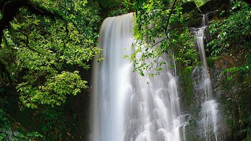 Matai Falls in the Catlins. Not too far off the road to get to a series of waterfalls. Take some filters for some water motion #TroveOn #nationalpark #traveltherenext #newzealand #catlins @traveltherenext