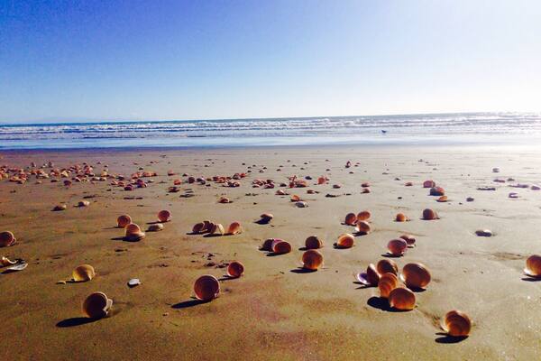 Summer in Paekakariki Beach, Wellington, New Zealand. #BestOf5